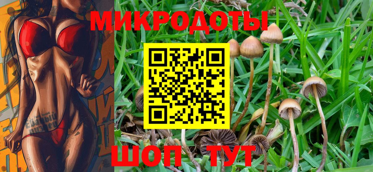 Сатка  где можно купить   Вход с VPN  Псилоцибиновые грибы MAGIC MUSHROOMS 