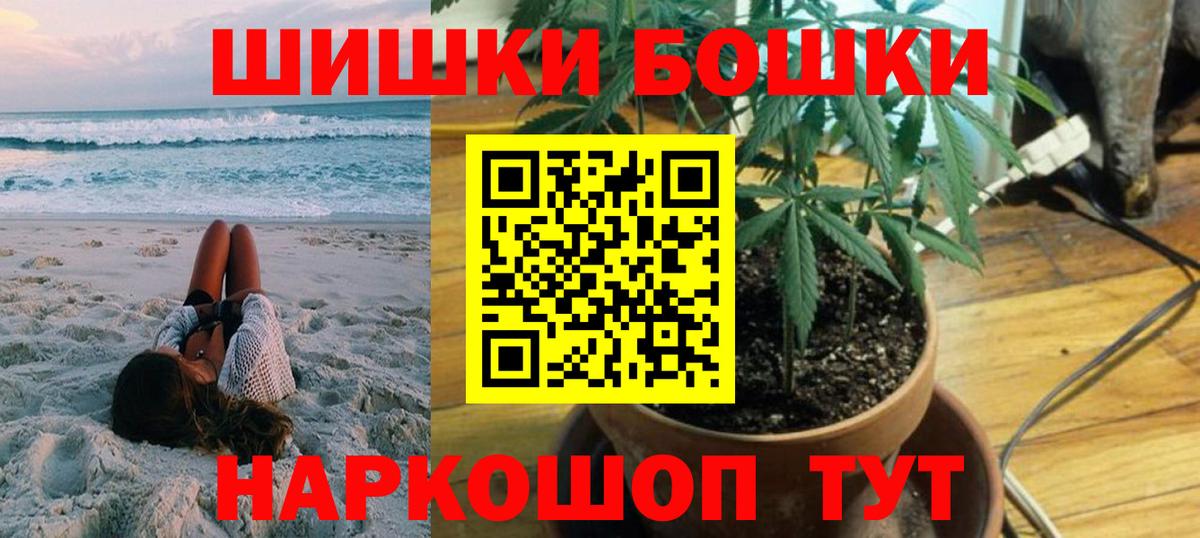 Бошки Шишки планчик  Конопля гибрид  Конопля конопля  Сатка  Канабис сатива  Вход с VPN 